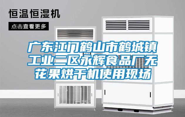 廣東江門鶴山市鶴城鎮(zhèn)工業(yè)二區(qū)永輝食品廠無花果烘干機(jī)使用現(xiàn)場