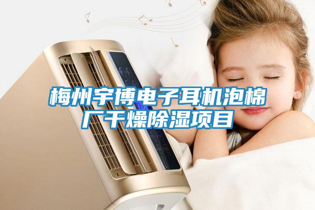 梅州宇博電子耳機(jī)泡棉廠干燥除濕項目