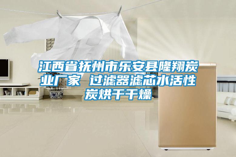 江西省撫州市樂(lè)安縣隆翔炭業(yè)廠家 過(guò)濾器濾芯水活性炭烘干干燥