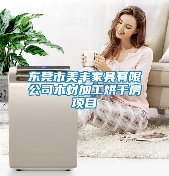 東莞市美豐家具有限公司木材加工烘干房項(xiàng)目