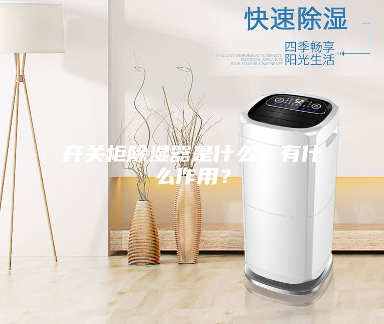 開關(guān)柜除濕器是什么？有什么作用？