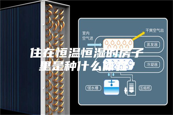 住在恒溫恒濕的房子里是種什么體驗？