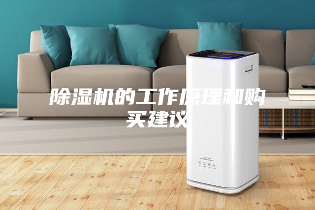 除濕機(jī)的工作原理和購(gòu)買(mǎi)建議