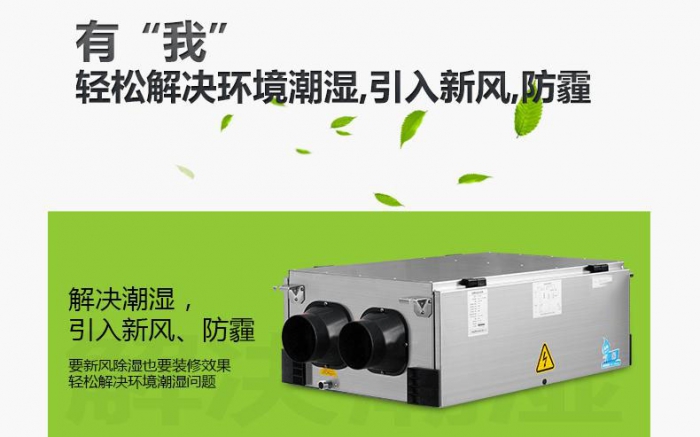 回南天貓毛都粘在一起，面對潮濕天氣，鏟屎官養(yǎng)貓需要注意什么