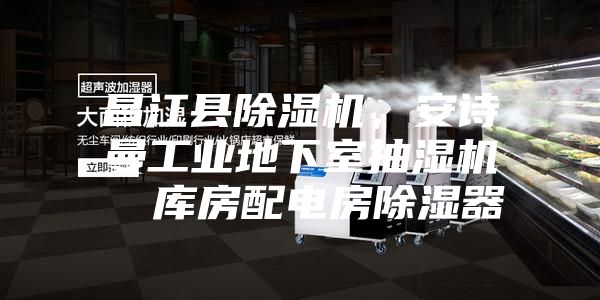 昌江縣除濕機(jī)，安詩曼工業(yè)地下室抽濕機(jī)  庫房配電房除濕器