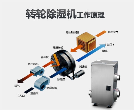 潮濕危害真不小，用除濕機真見效