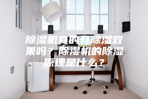 除濕機(jī)真的有除濕效果嗎？除濕機(jī)的除濕原理是什么？