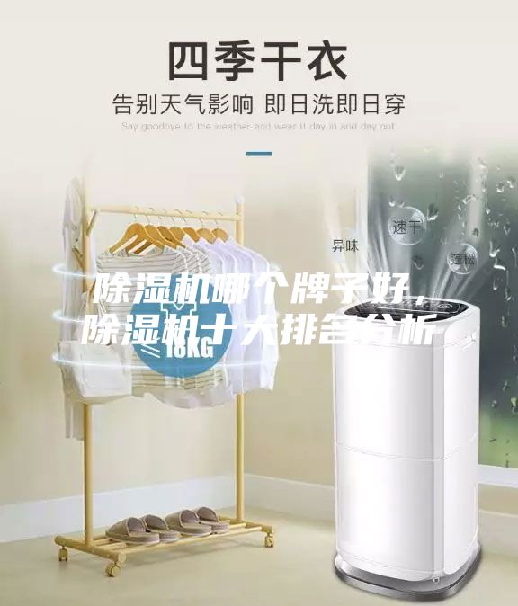 除濕機(jī)哪個(gè)牌子好，除濕機(jī)十大排名分析