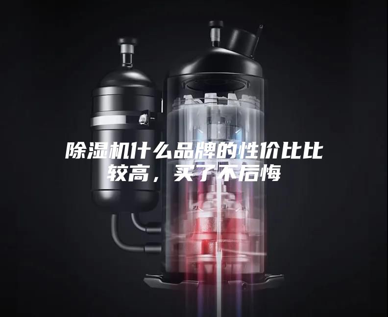 除濕機(jī)什么品牌的性價(jià)比比較高，買了不后悔