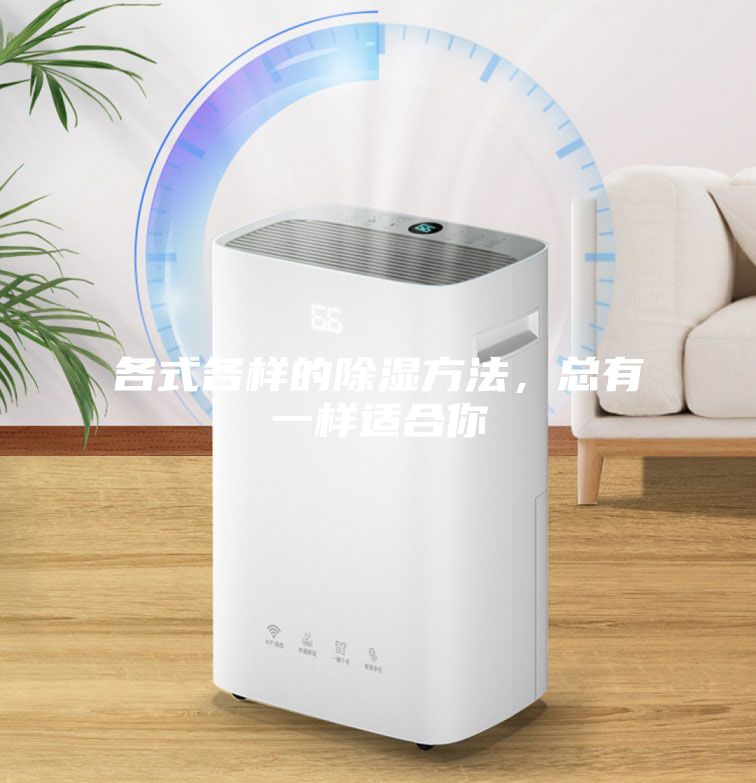 各式各樣的除濕方法，總有一樣適合你