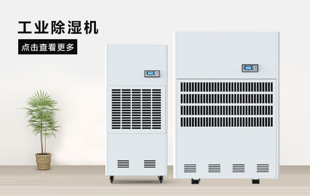 這間熱帶雨林辦公室，不潮濕不下雨還讓員工忘記了在工作