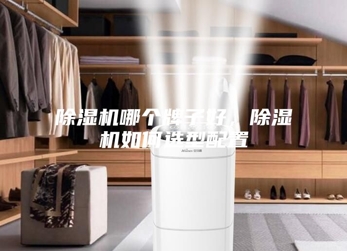 除濕機(jī)哪個(gè)牌子好，除濕機(jī)如何選型配置