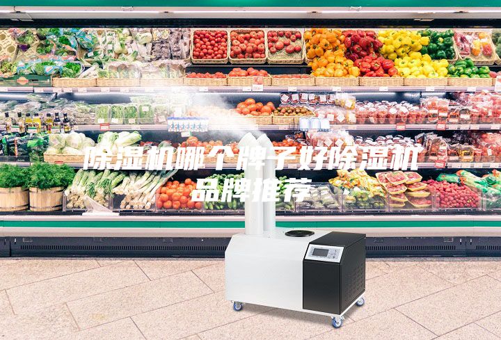 除濕機(jī)哪個牌子好除濕機(jī)品牌推薦