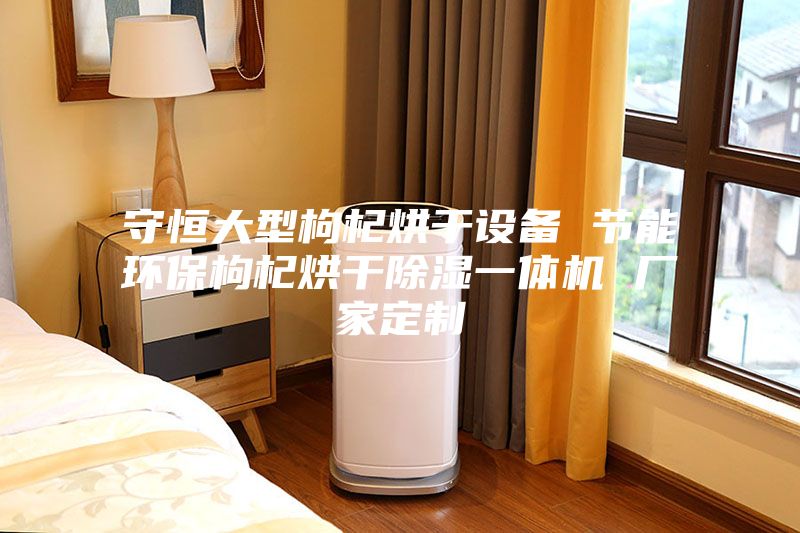 守恒大型枸杞烘干設(shè)備 節(jié)能環(huán)保枸杞烘干除濕一體機 廠家定制