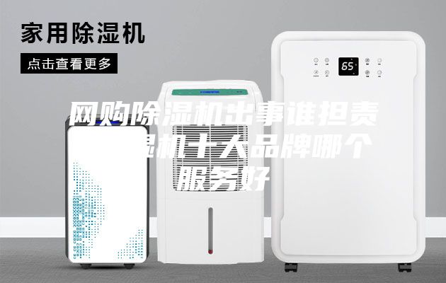 網(wǎng)購除濕機出事誰擔責 除濕機十大品牌哪個服務好