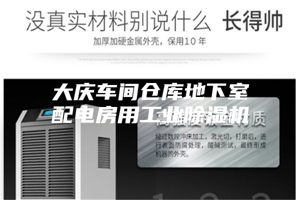 大慶車間倉(cāng)庫地下室配電房用工業(yè)除濕機(jī)