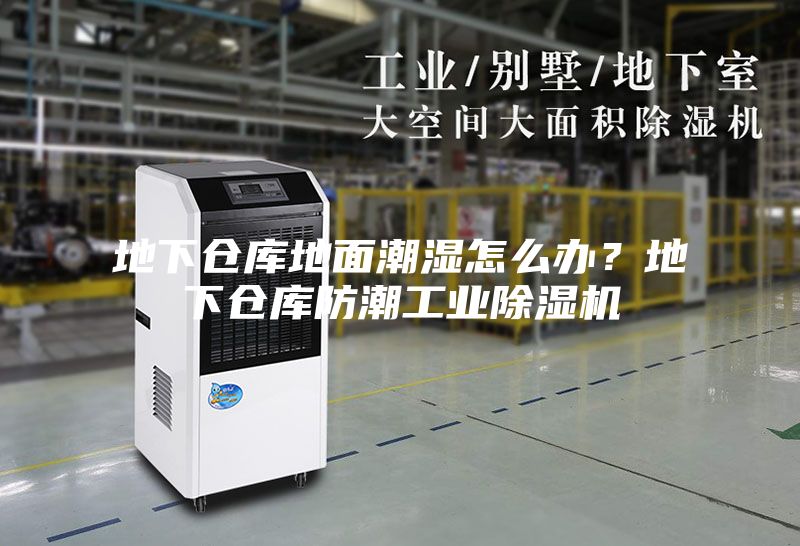 地下倉庫地面潮濕怎么辦？地下倉庫防潮工業(yè)除濕機(jī)