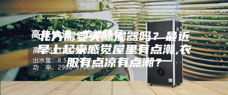 北方需要買除濕器嗎？最近早上起來感覺屋里有點(diǎn)潮,衣服有點(diǎn)涼有點(diǎn)潮？
