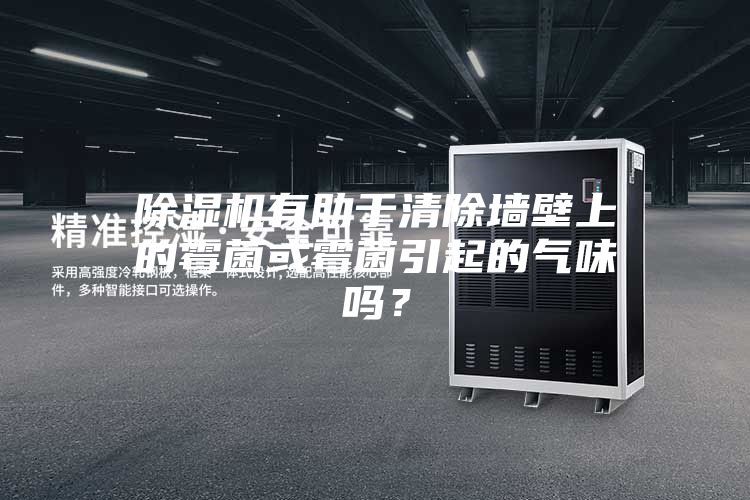 除濕機(jī)有助于清除墻壁上的霉菌或霉菌引起的氣味嗎？