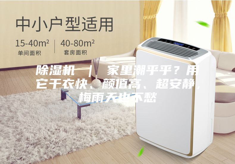 除濕機 ｜ 家里潮乎乎？用它干衣快、顏值高、超安靜，梅雨天也不愁