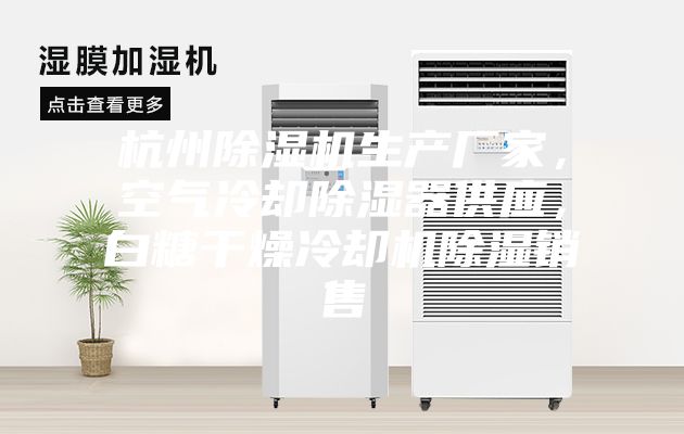 杭州除濕機生產(chǎn)廠家，空氣冷卻除濕器供應，白糖干燥冷卻機除濕銷售