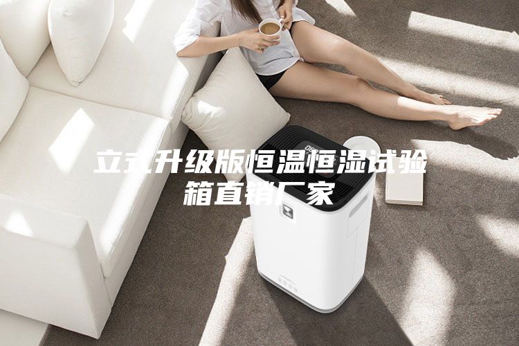 立式升級(jí)版恒溫恒濕試驗(yàn)箱直銷(xiāo)廠家
