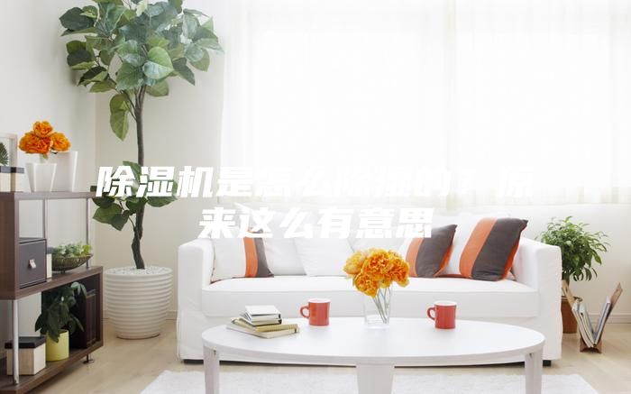 除濕機(jī)是怎么除濕的？原來這么有意思