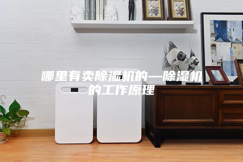 哪里有賣除濕機(jī)的—除濕機(jī)的工作原理