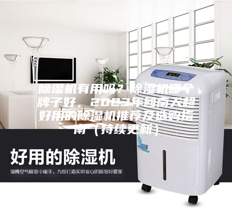 除濕機(jī)有用嗎？除濕機(jī)哪個(gè)牌子好，2023年回南天超好用的除濕機(jī)推薦及選購指南（持續(xù)更新）