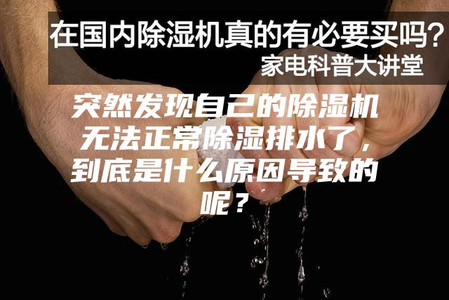 突然發(fā)現(xiàn)自己的除濕機(jī)無(wú)法正常除濕排水了，到底是什么原因?qū)е碌哪兀?></div>
								<div   id=