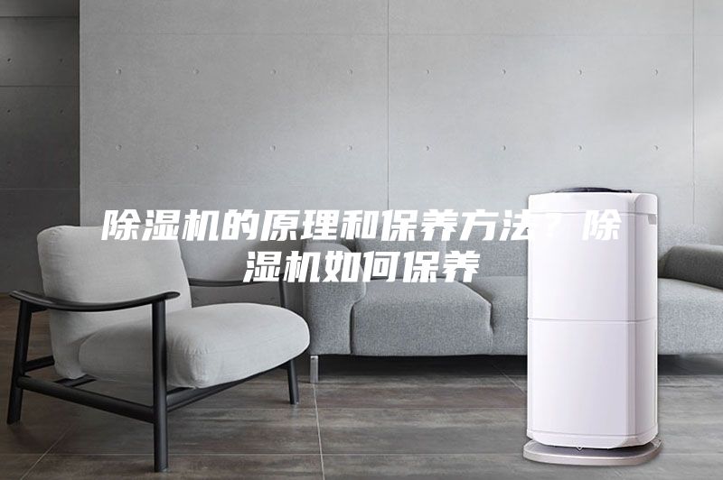 除濕機(jī)的原理和保養(yǎng)方法？除濕機(jī)如何保養(yǎng)