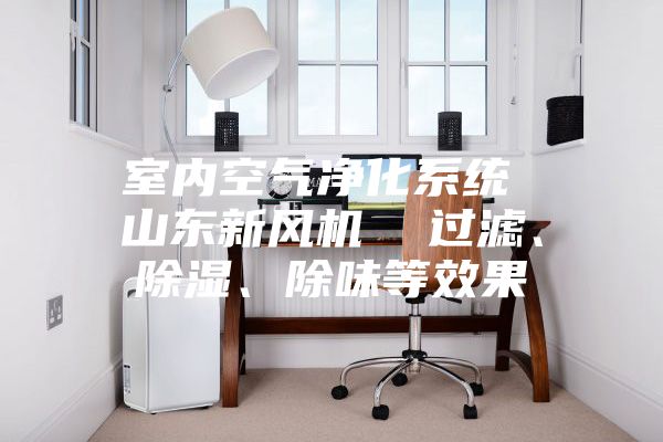 室內(nèi)空氣凈化系統(tǒng) 山東新風(fēng)機(jī)  過濾、除濕、除味等效果