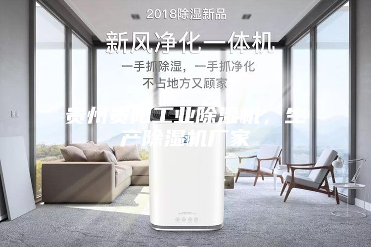 貴州貴陽工業(yè)除濕機，生產(chǎn)除濕機廠家