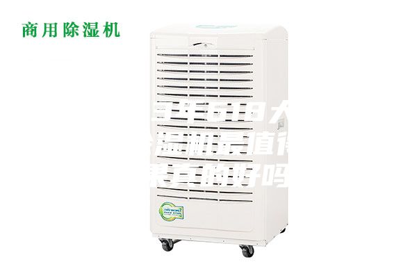 2023年618大促，哪款除濕機最值得買？效果真的好嗎？