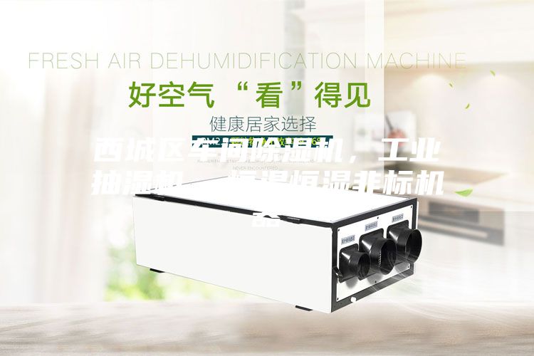 西城區(qū)車間除濕機，工業(yè)抽濕機  恒溫恒濕非標機器