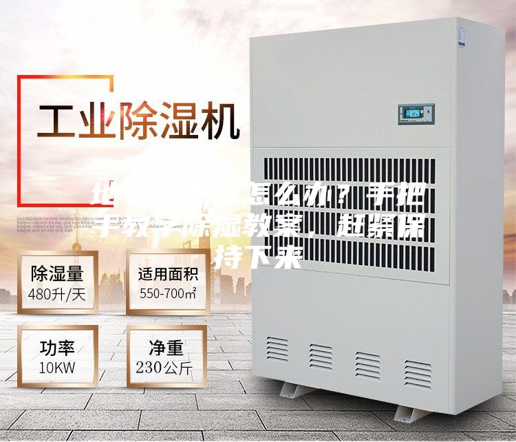 地下室潮濕怎么辦？手把手教學(xué)除濕教案，趕緊保持下來