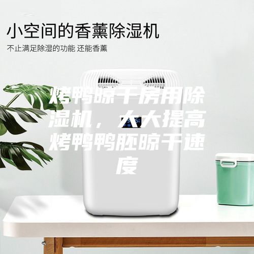 烤鴨晾干房用除濕機(jī)，大大提高烤鴨鴨胚晾干速度