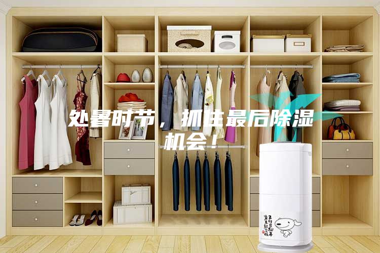 處暑時(shí)節(jié)，抓住最后除濕機(jī)會(huì)！