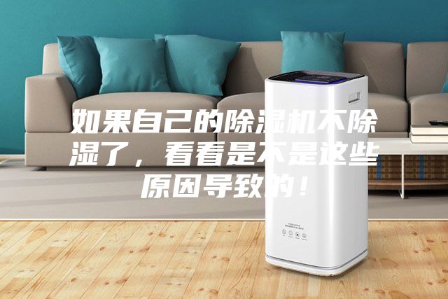 如果自己的除濕機(jī)不除濕了，看看是不是這些原因?qū)е碌模?></div>
								<div   id=
