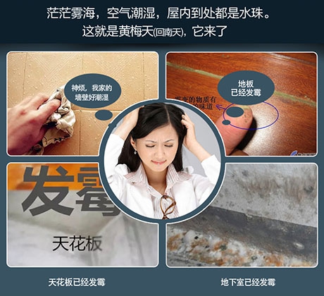 地下室中央新風除濕機，地下室通風與除濕解決方案
