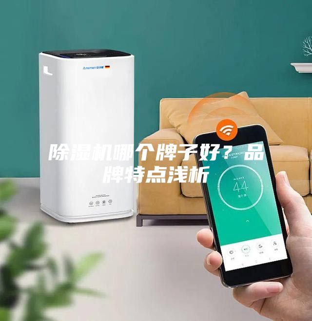 除濕機哪個牌子好？品牌特點淺析