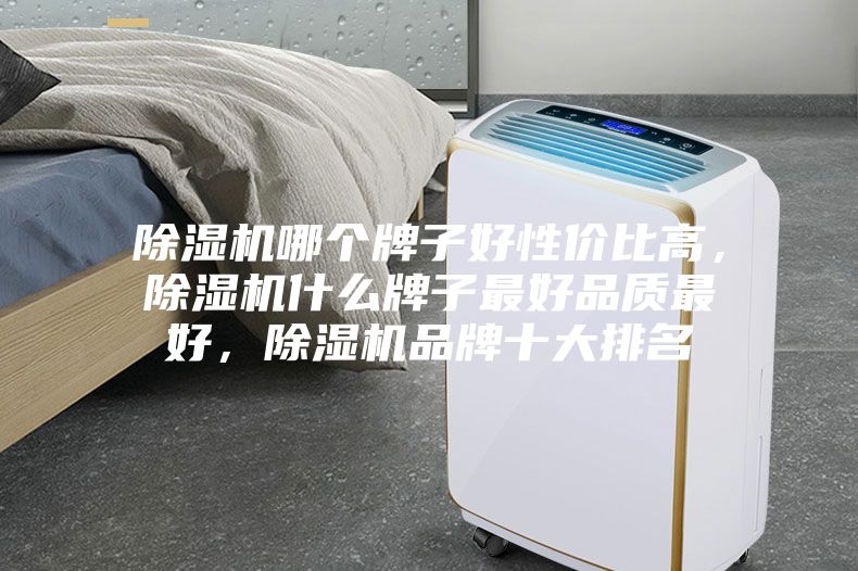 除濕機(jī)哪個(gè)牌子好性價(jià)比高，除濕機(jī)什么牌子最好品質(zhì)最好，除濕機(jī)品牌十大排名