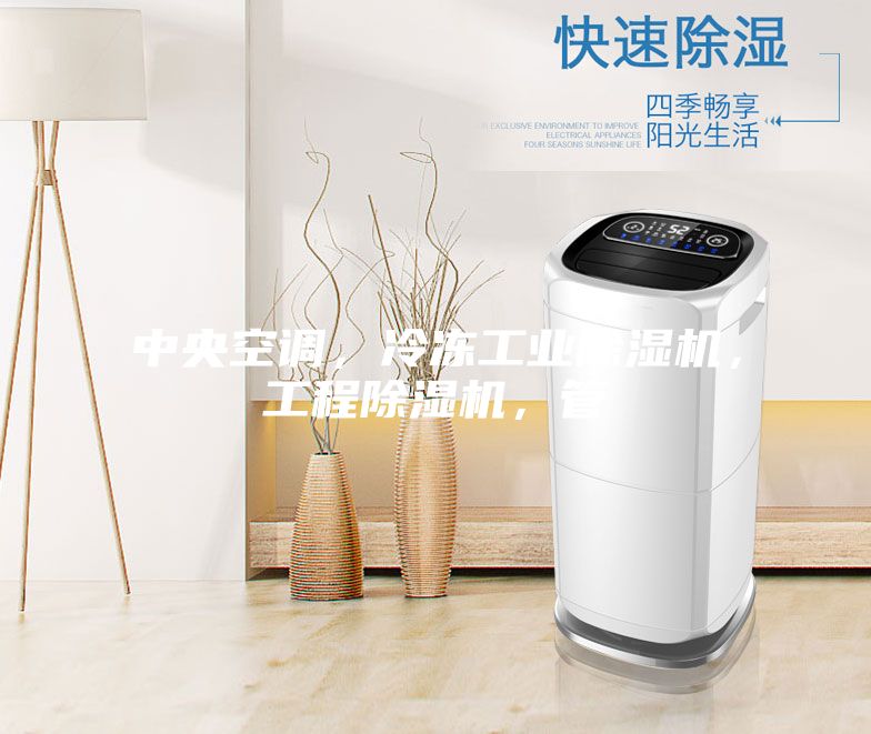 中央空調(diào)，冷凍工業(yè)除濕機，工程除濕機，管
