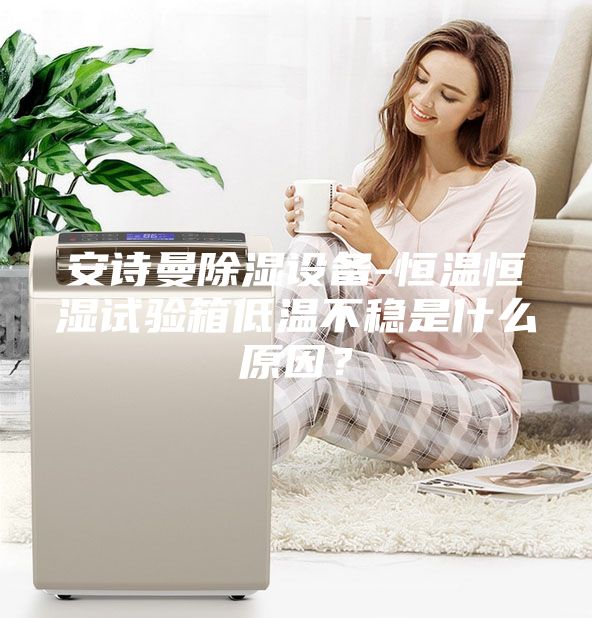 安詩曼除濕設(shè)備-恒溫恒濕試驗(yàn)箱低溫不穩(wěn)是什么原因？
