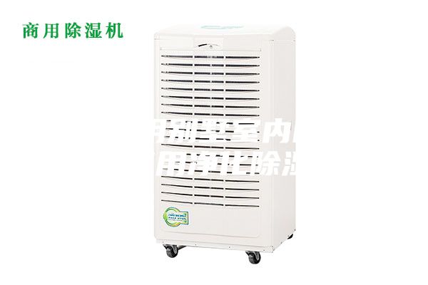 武漢家用別墅室內(nèi)除濕機，商用凈化除濕機