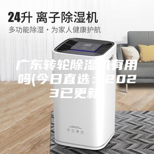 廣東轉(zhuǎn)輪除濕機(jī)有用嗎(今日直選：2023已更新)