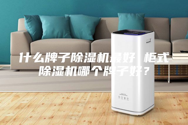 什么牌子除濕機(jī)最好 柜式除濕機(jī)哪個(gè)牌子好？
