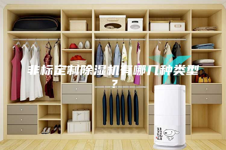 非標(biāo)定制除濕機(jī)有哪幾種類型？