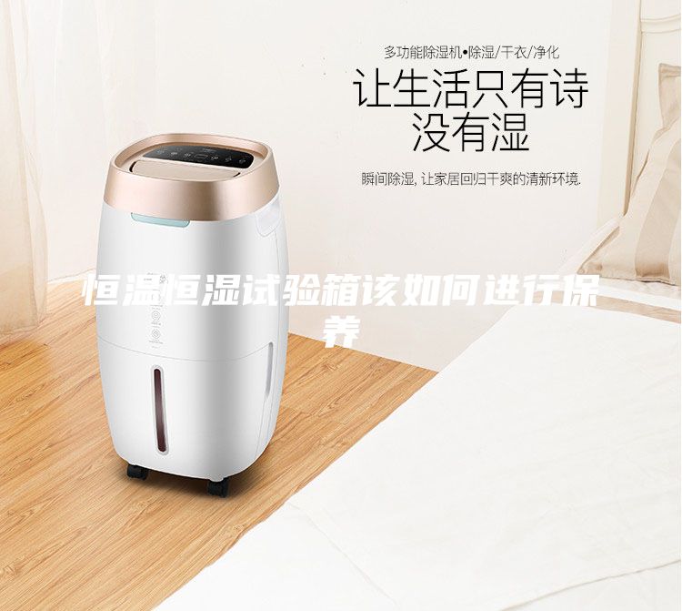 恒溫恒濕試驗箱該如何進行保養(yǎng)