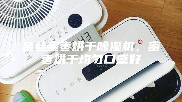 金絲蜜棗烘干除濕機(jī)，蜜棗烘干均勻口感好